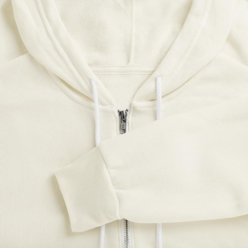 Blooming Sunflowers In A Large Field