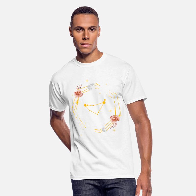 Capricorn Aquarius Constellation Sign Astrology Zo