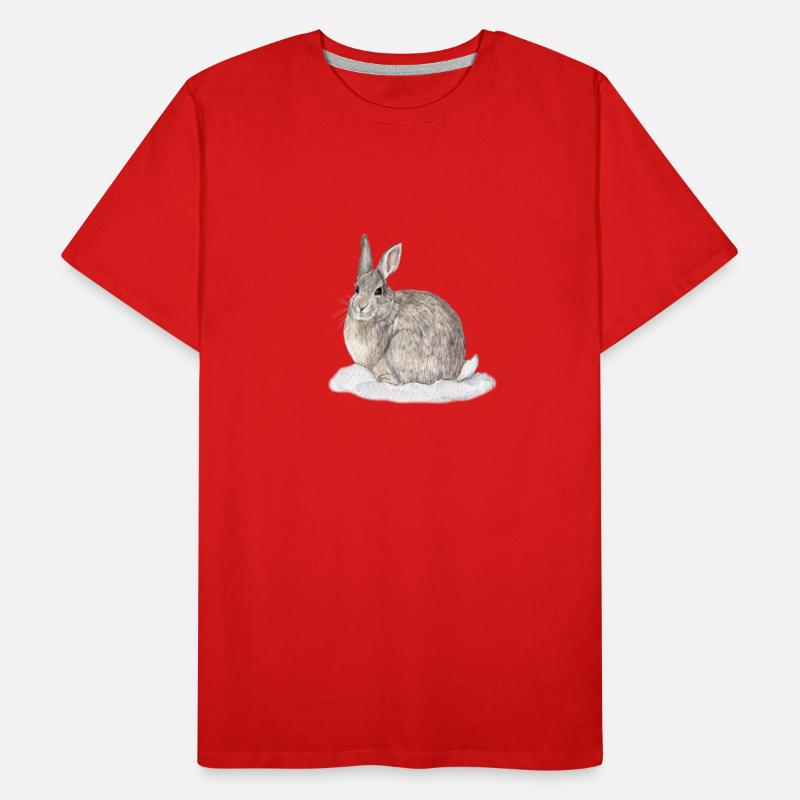 Cottontail Rabbit in Snow