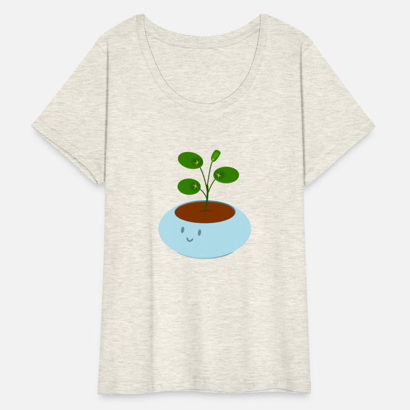 Cute blue pot pilea money plant
