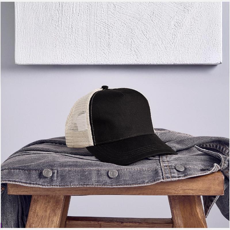 frog in medieval armor