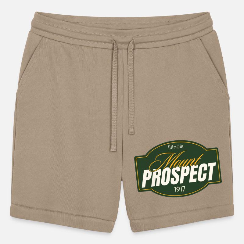 Mount Prospect Illinois Emblem