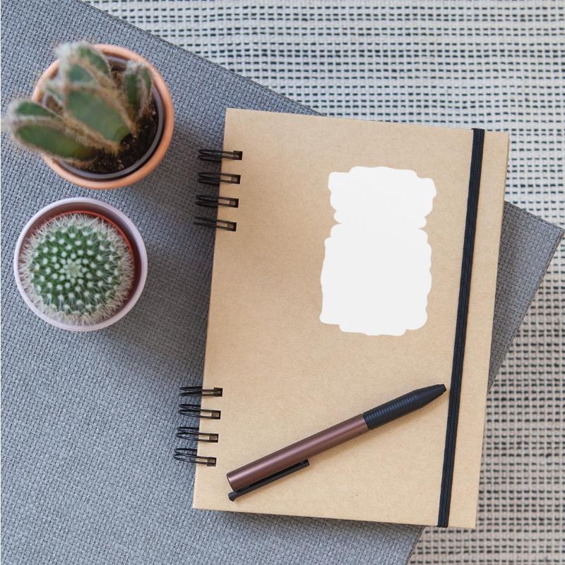 Sarcasm Idiots Provocation Joke