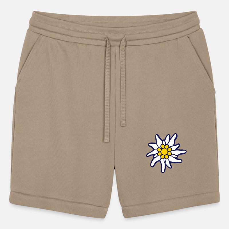 White Alps Edelweiss Flower Mountain Hiking Flower